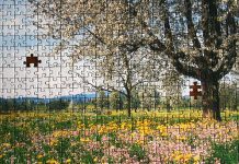 Vom WUT-Bürger zum MUT-Bürger