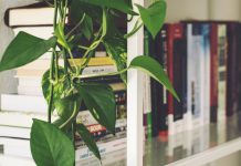 Füll‘ deinen Kopf doch mal mit was Sinnvollem! Bücher!