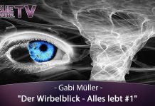 Der Wirbelblick – ALLES lebt!
