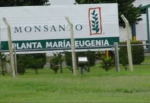 Tödliche Agri Kultur – Wie Monsanto die Welt vergiftet