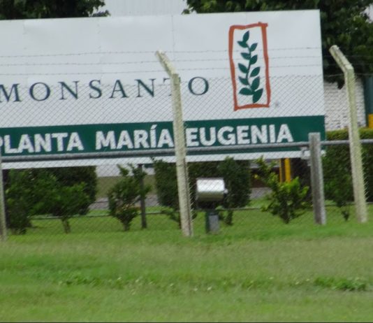 Tödliche Agri Kultur – Wie Monsanto die Welt vergiftet