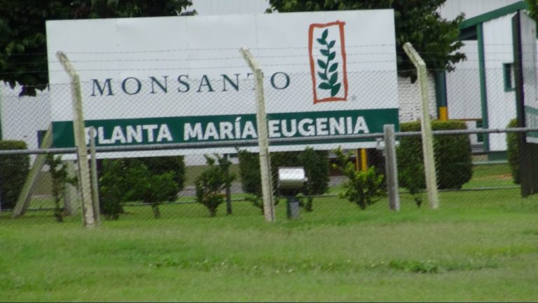 Tödliche Agri Kultur – Wie Monsanto die Welt vergiftet