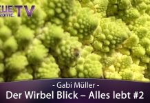 Der Wirbelblick – Alles lebt Teil 2 – Gabi Müller
