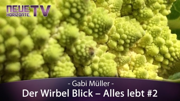 Der Wirbelblick – Alles lebt Teil 2 – Gabi Müller