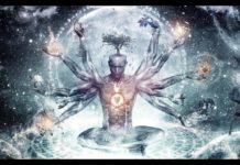 Seelennahrung vs Lichtnahrung – Jenny Solaria