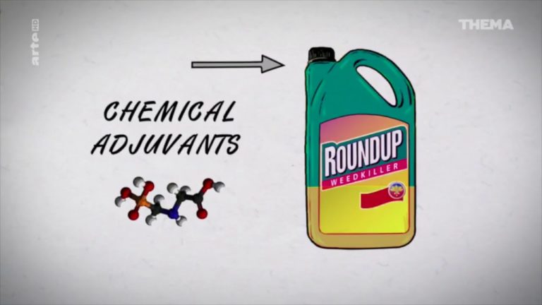 Roundup, der Prozess