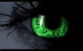 Remote Viewing – Erkenntnisse aus dem Unsichtbaren – Manfred Jelinski