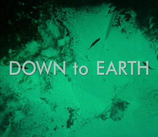 Die Hüter der Erde / DOWN to EARTH