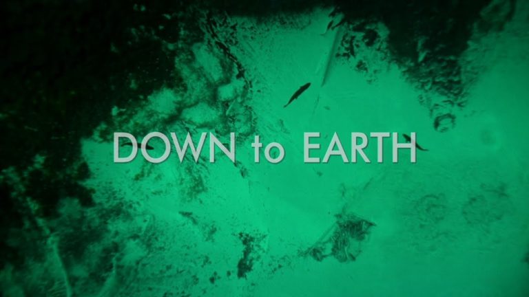 Die Hüter der Erde / DOWN to EARTH