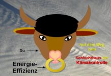 Daniele Ganser und KenFM, falsche Autorität und falsche Alternative | Lügen durch Lücken | Klimakontrolle Symptomsteuerung!