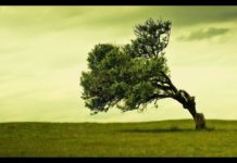 Echte Hingabe als Schlüssel für Erfolg, Glück und Zufriedenheit – Andreas Beutel