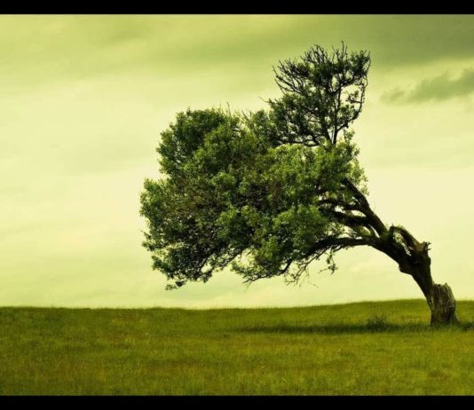 Echte Hingabe als Schlüssel für Erfolg, Glück und Zufriedenheit – Andreas Beutel