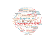 Zivilisationskrankheit Östrogendominanz