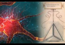 Global Brain #2 – Werkzeuge für Veränderung – Dr. Hans Hein