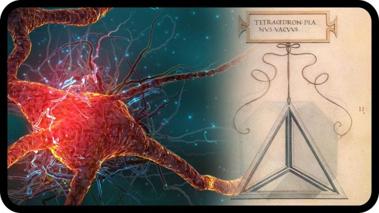Global Brain #2 – Werkzeuge für Veränderung – Dr. Hans Hein