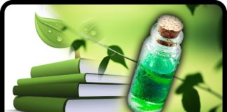 Bewusstseinsentfaltung durch Baummedizin – Doris Richter