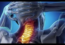 Der Atlas – Tor zu neuem Leben – Elisabeth Westermann