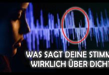 Das Geheimnis der verborgenen Sprache – Karina Kaiser