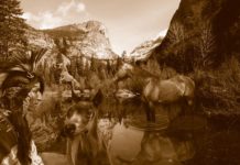 Schamanische Klopftechnik | Mehr Liebe, Geld, Selbstbewusstsein!