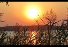 Mit dem Ton der Natur klingen – Ralf Gehlert