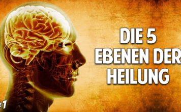 Jede Krankheit hat eine Ursache