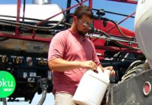 Bayer und Monsanto: die Saat der Gier