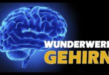 Das Gehirn – Wunderwerk der Selbstheilung – Dr. Ulrich Werth