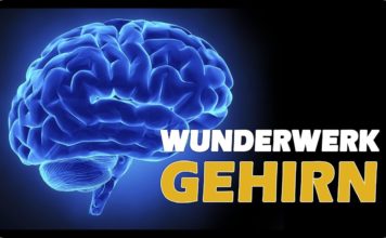 Das Gehirn – Wunderwerk der Selbstheilung – Dr. Ulrich Werth