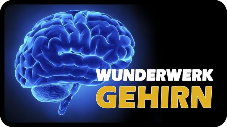 Das Gehirn – Wunderwerk der Selbstheilung – Dr. Ulrich Werth
