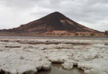 Somalia als Wasserbrücke der Klimakontrolle & Modell der Entstaatlichung ! | Vögel fallen tod vom Himmel!