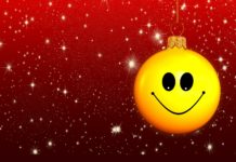 Gesund und schlank durch die Feiertage