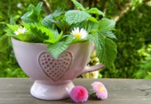 Unser Körper und Entgiftung