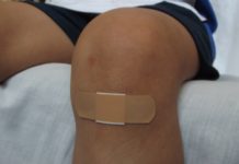 Der Körper und seine Heilkraft