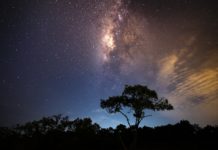 Mit hoher Schwingung ins Goldene Zeitalter | Dein Transformationsweg | Interview mit Alles ist Energie