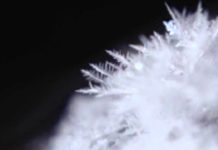 Sublimation und Desublimation! Wissen ist Macht, Unwissen macht ohnmächtig!