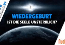 Wiedergeburt – Deine Seele ist unsterblich! – Thomas Schmelzer