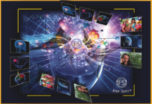 Es ist nicht das Gehirn, das denkt!