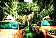 Alois Irlmaier, Baba Wanga & Co Wird das Jahr 2019 wirklich so schlimm?