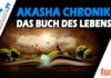 Die Akasha-Chronik – Mein Seelenfeld? – Vanessa Vanadi