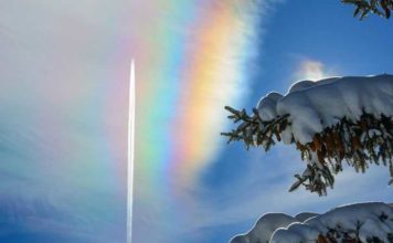 Der grausame Schwindel mit dem Feinstaub Teil 5: Der Weg der deutschen Befreiung durch Entledigung der Grünen Pest!