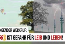 5G ein weiterer Meilenstein auf dem Weg zum Überwachungsstaat ?!