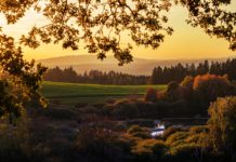 Ein neues Selbstbild erschaffen (Resonanz, Bewegung, Heilkräuter & Mehr)