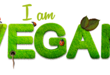 Vegan leben | Ein neuer Lebensstil ist auf der Überholspur