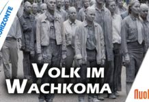 Volk im Wachkoma – Frank Rüdiger Halt