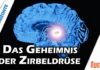 Die Zirbeldrüse als Schlüssel – Dr. Heidi Wichmann