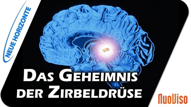 Die Zirbeldrüse als Schlüssel – Dr. Heidi Wichmann
