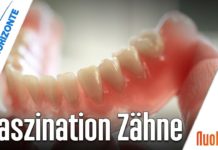 Faszination Zähne – Prof. Werner Becker u. Alfred Dietrich