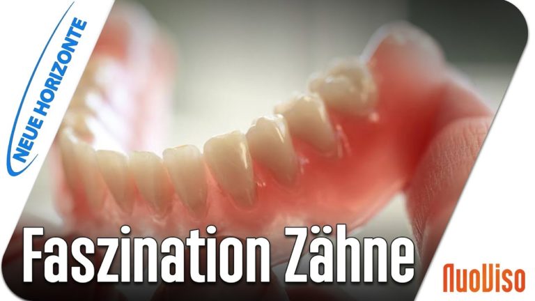 Faszination Zähne – Prof. Werner Becker u. Alfred Dietrich