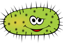 Epstein-Barr-Virus & Co