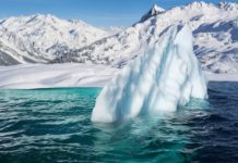 Bewusstseinssprung ist ganz nah! 2020 wird Endlevel